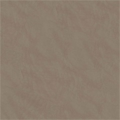 Stetson Healthcare Vinyl Upholstery Fabric